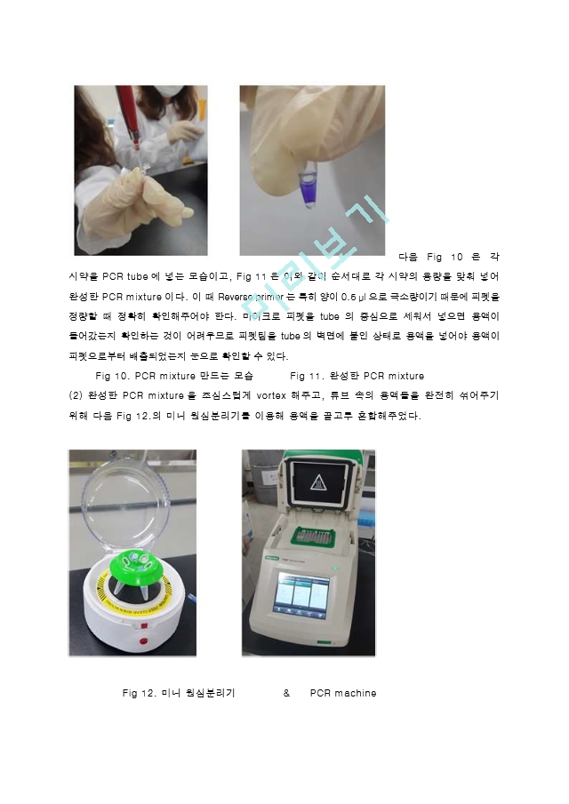 중합효소연쇄반응 PCR (Polymerase Chain Reaction) 결과레포트 [A＋].hwp